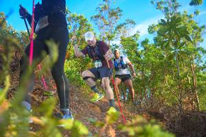 BIB: 2005
                            <button type="button" onclick="openModal(21842624)" class="btn btn-primary btn-sm float-right btn-popup" data-toggle="modal" data-target=".modal-high-quality">
                        <i class="fas fa-shopping-cart"></i> Add to Cart
                    </button>
                                            <button type="button" onclick="isThisMe(21842624, true)" class="btn btn-success btn-sm float-right btn-popup btn-isme hidden" data-toggle="tooltip" data-placement="bottom" title="นี่คือรูปของคุณใช่ไหม คลิกที่นี่เพื่อเอาเข้าอัลบั้ม">
                        <i class="fas fa-plus"></i> Add to album
                    </button>
                    <button type="button" onclick="isThisMe(21842624, false)" class="btn btn-warning btn-sm float-right btn-popup btn-isnotme hidden">
                        <i class="fas fa-ban"></i> Remove from album
                    </button>